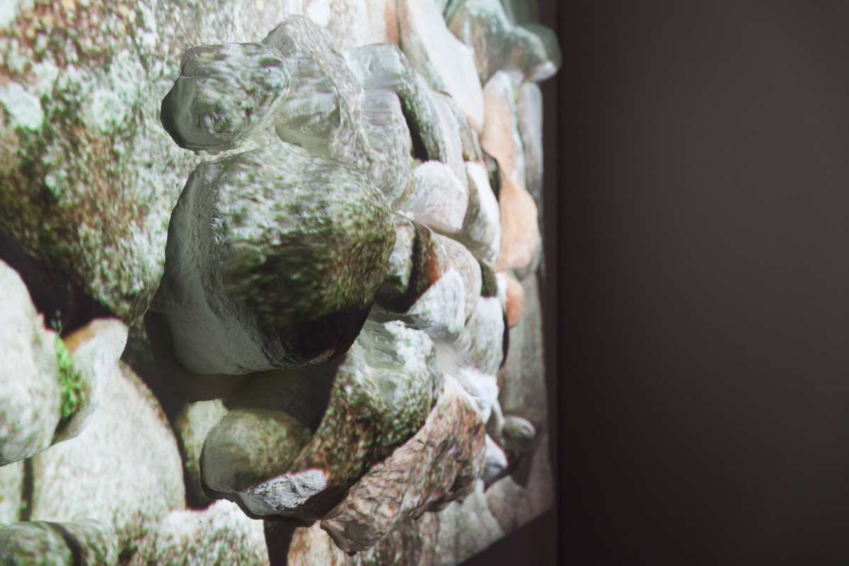 A close up of a rocky, mossy surface.