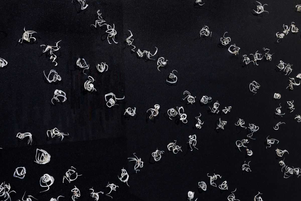 Tiny forms made of fish scales are pinned to black surface.