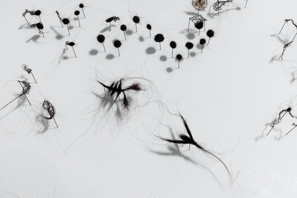 Tiny sculptural forms made from brunette human hair are pinned to white surface.