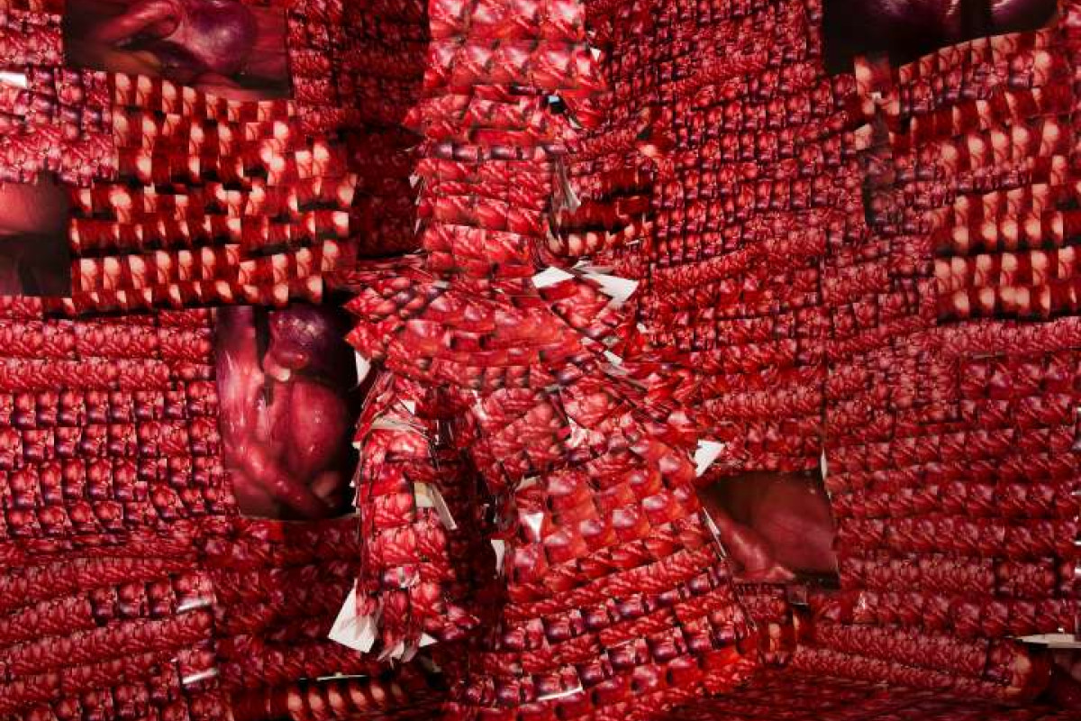 A figure clad entirely in bright red 6x4 photographic prints of zoomed-in fallopian tubes stands in a room covered in the same prints.
