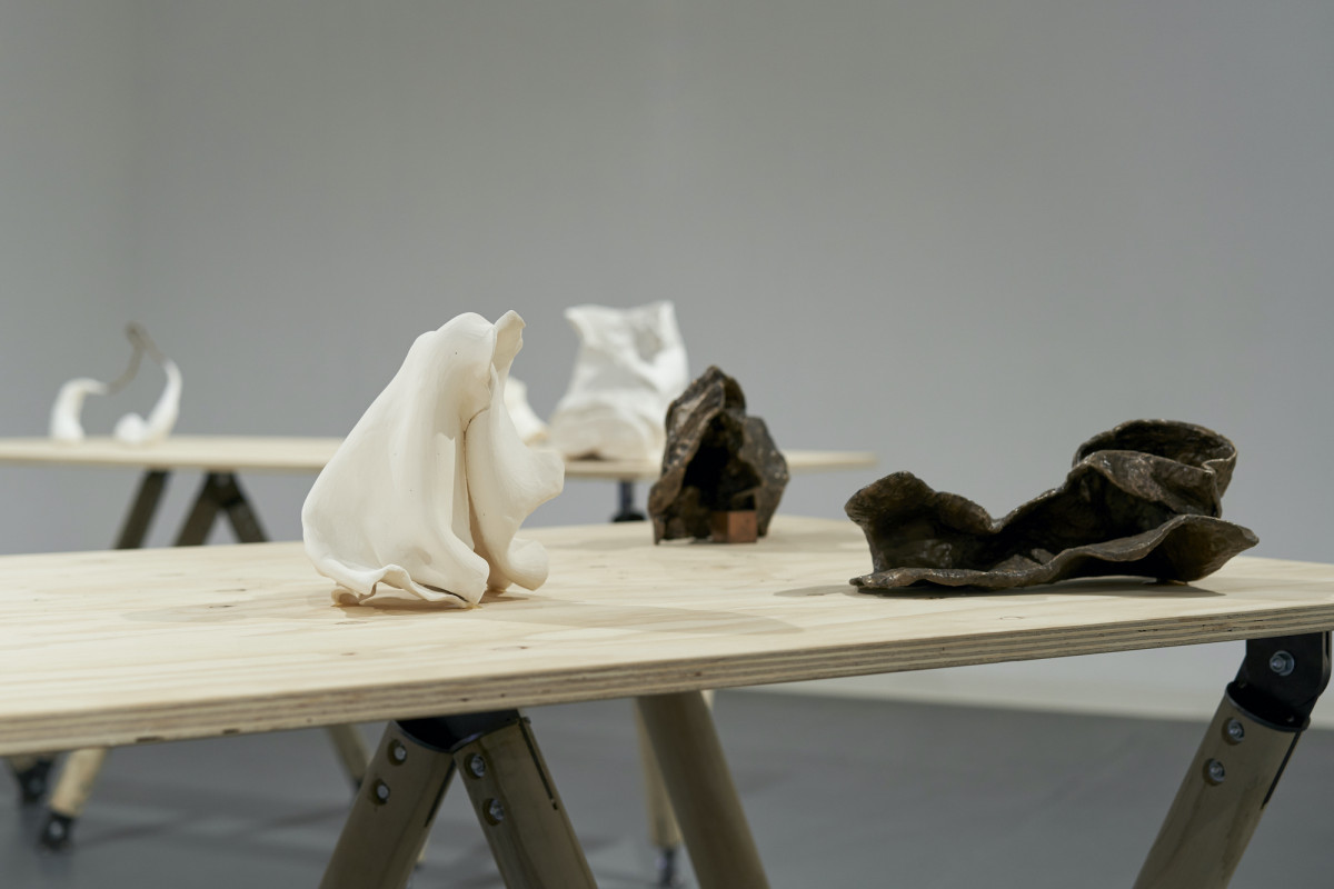 Close up of organic white and bronze sculptures on wooden table.