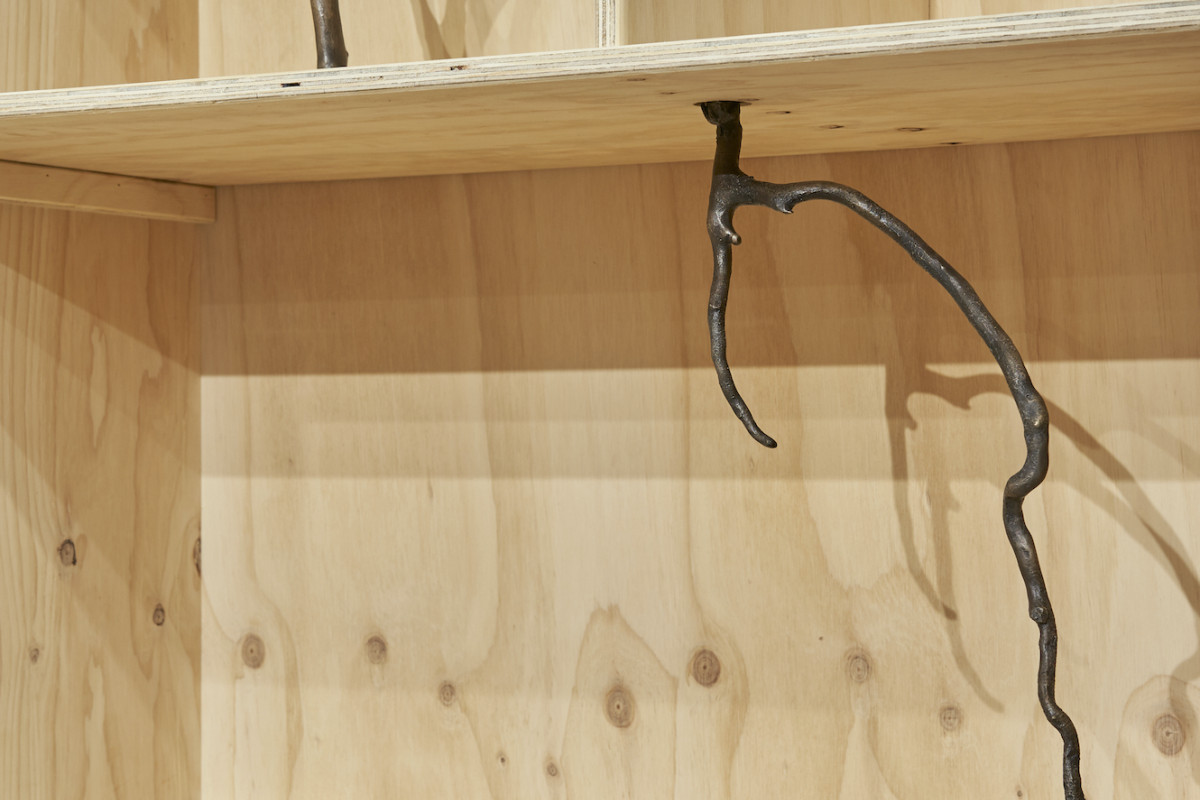Close up of wooden cupboard with sticks growing through the shelves.