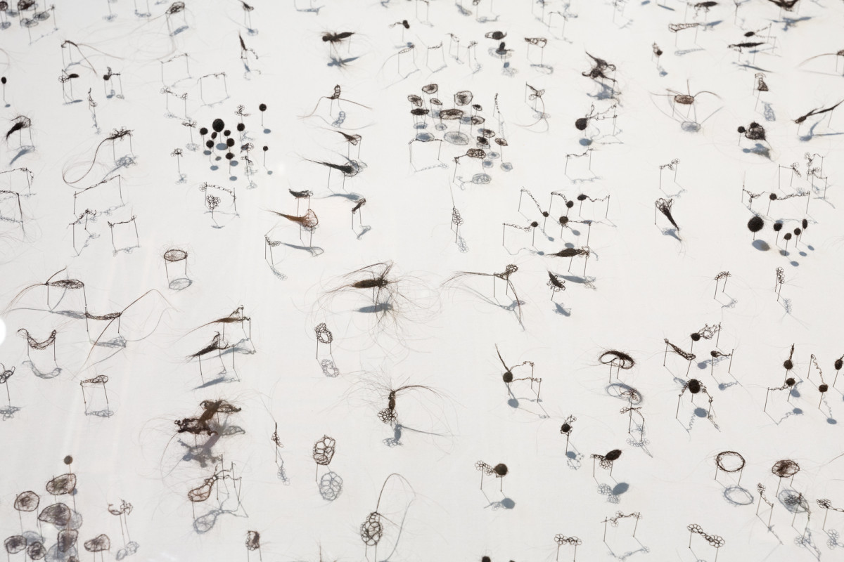 Detail of objects made of hair, displayed within a white cabinet.