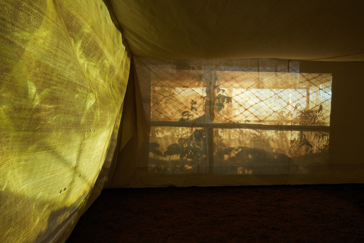 Inside the suspended shade cloth structure in centre of gallery. Projections featuring plant shadows spill outward onto the walls from within the structure. Dirt is on the ground.