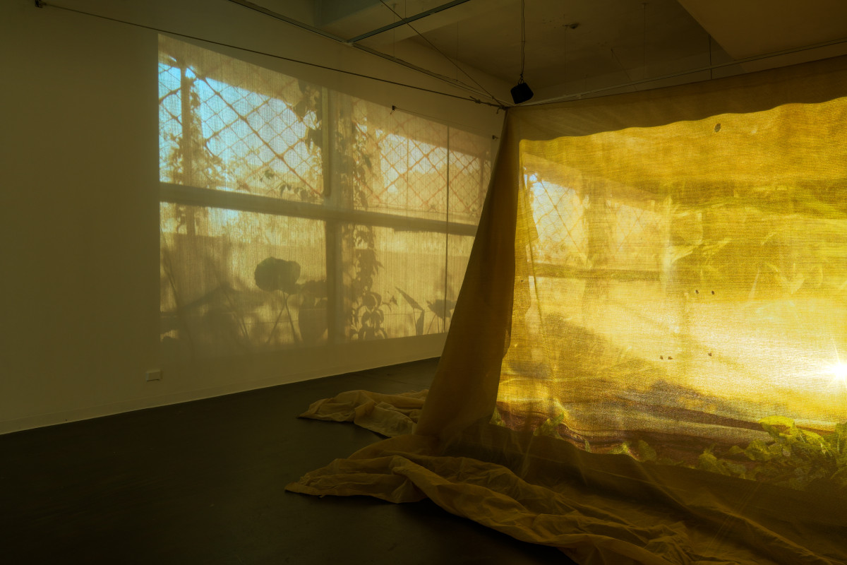 Suspended shade cloth structure in centre of gallery. Projections featuring plant and window shadows spill outward onto the walls from within the structure.