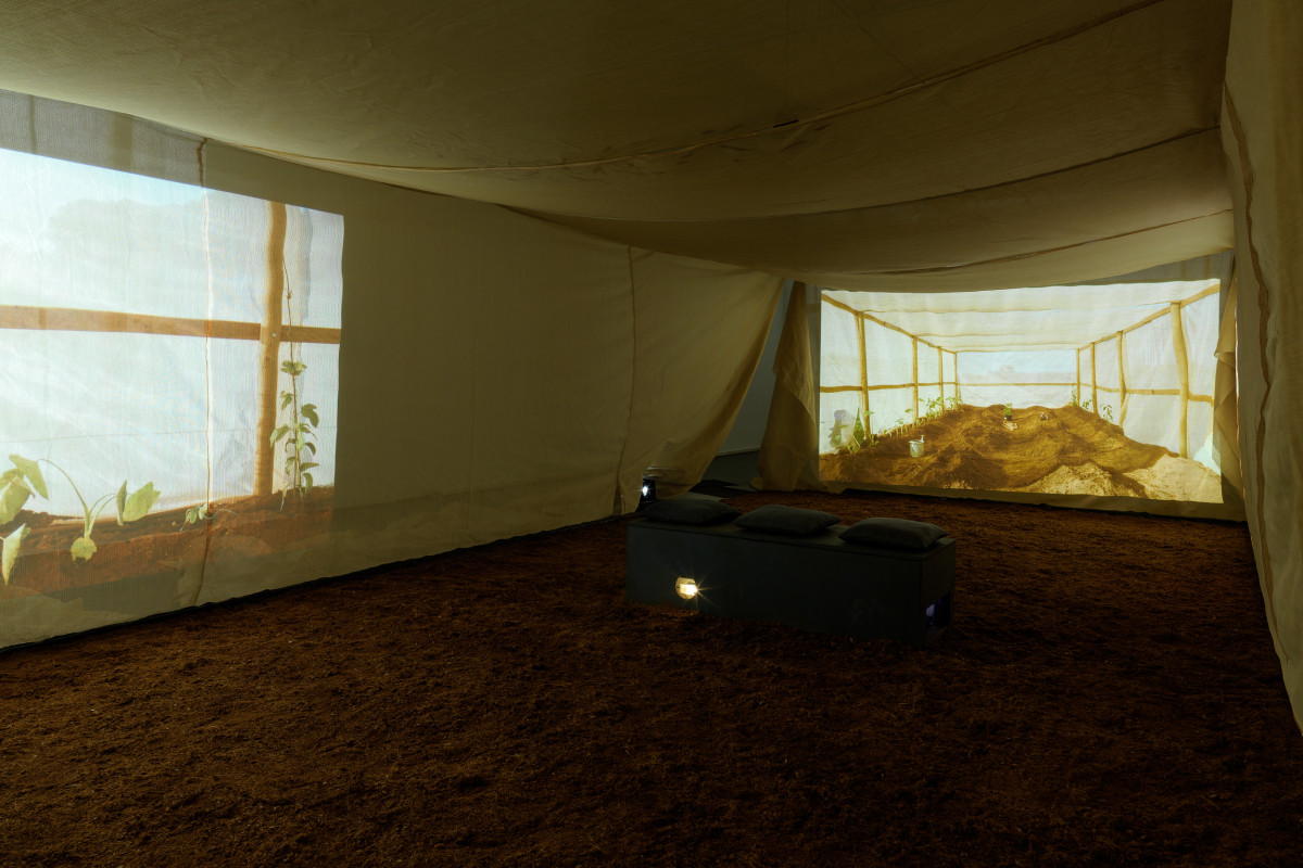 Inside the suspended shade cloth structure in centre of gallery. Projections featuring a shadehouse spill outward onto the walls from within the structure. Dirt is on the ground.