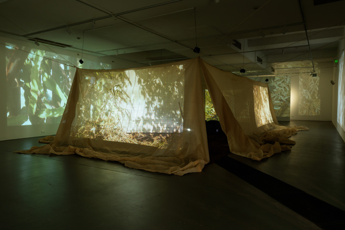Suspended shade cloth structure in centre of gallery. Projections featuring plant matter spill outward onto the walls from within the structure.