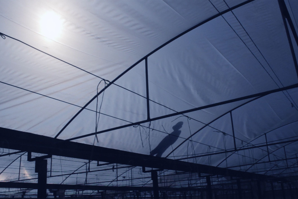 Shadow of person standing on vast shade house roof.
