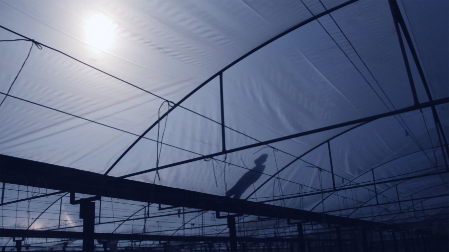 Shadow of person standing on vast shade house roof.