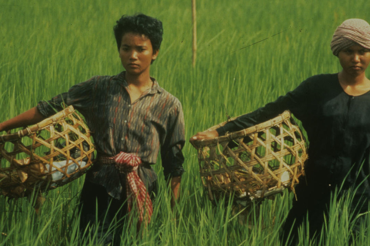 Two people with baskets in field.