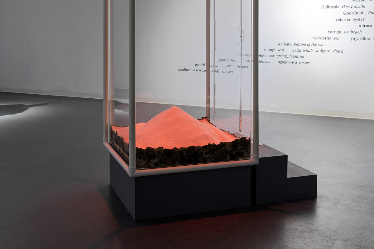 Sculpture with steps leading to a clear rectangular prism with salt and mangrove mud inside.