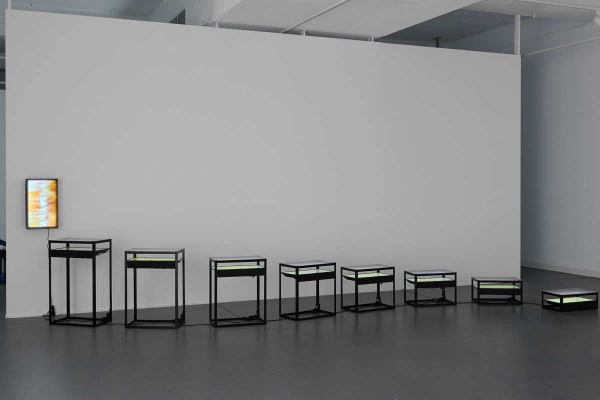 A sculpture in a river configuration consisting of screens with text underneath rippled glass.