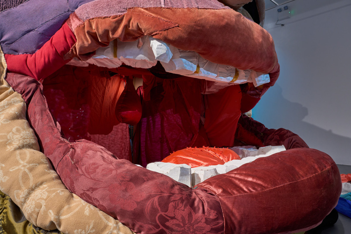 A cropped photograph displaying Rockamora's mouth.