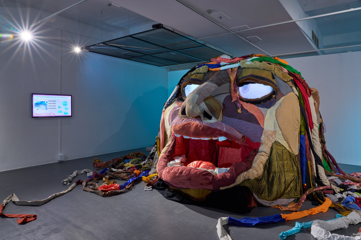 A photograph of the gallery space inhabited Rockamora's head and a screen.