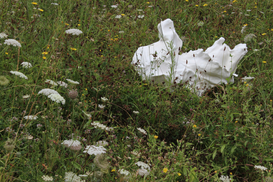 A close up photo of a field with flowers and long grass, and a white sculpture sitting in the grass.