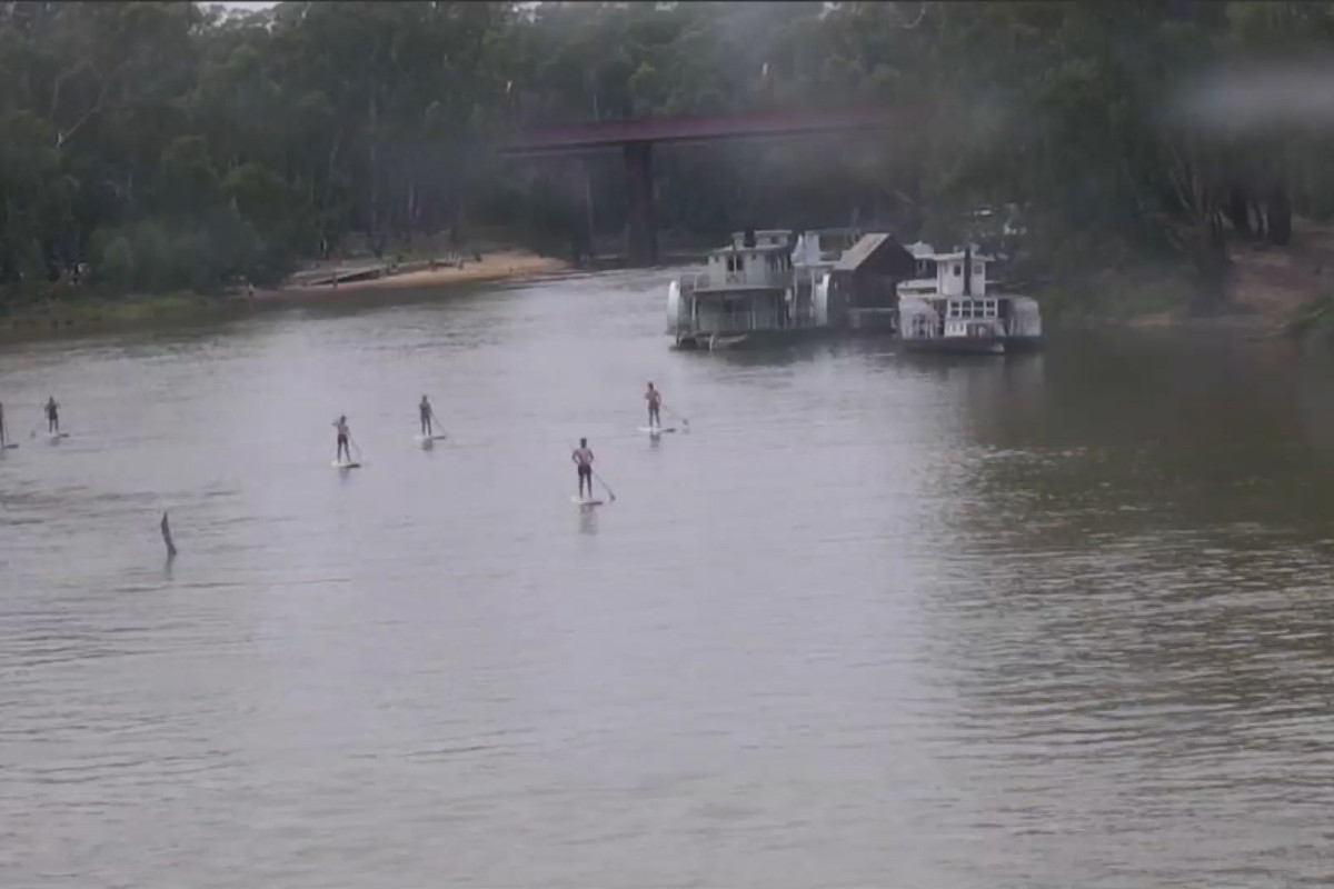 A group of people paddle boarding on the Murray River, seen from far away.