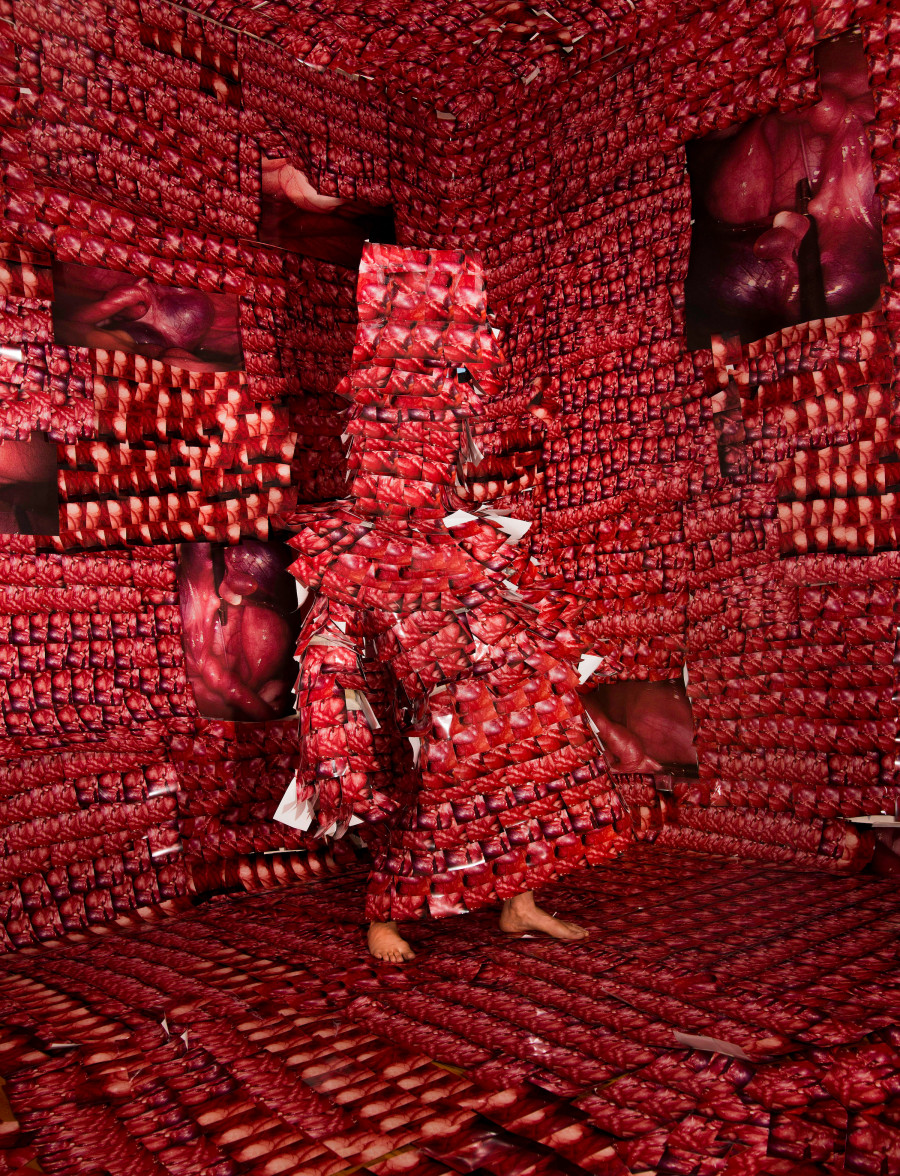 A figure clad entirely in bright red 6x4 photographic prints of zoomed-in fallopian tubes stands in a room covered in the same prints.