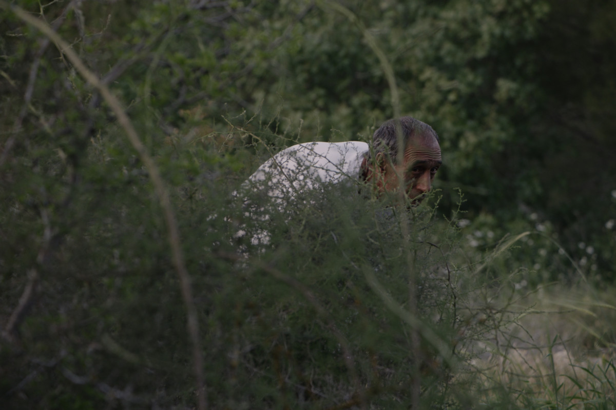 An older man crouches behind bushes and peers as though he is looking or hiding.