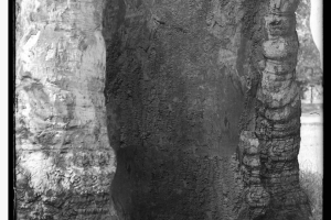 Artwork catalogue essay by Steven Rhall