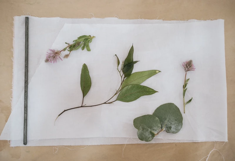 Textile Dyeing Workshop with Bonny Brodie and Christina Flanagan