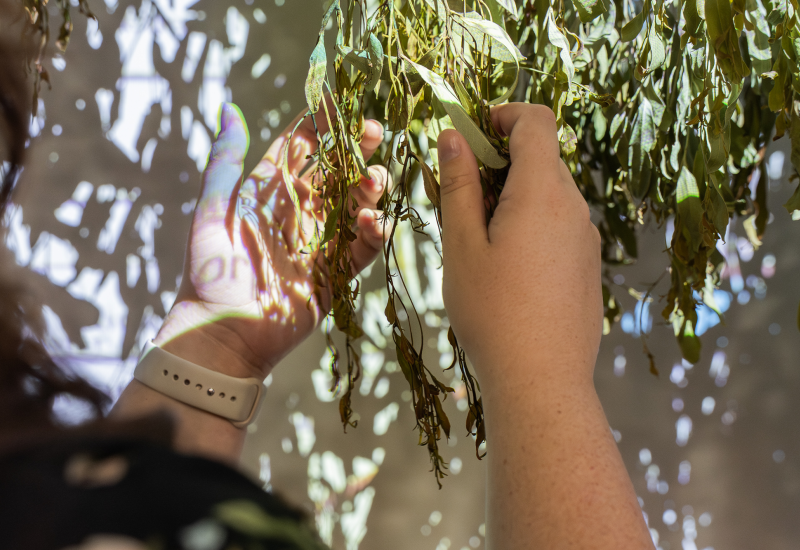 'Leaves: Eco-Anxiety' Artist Sharing: Crista Bradshaw