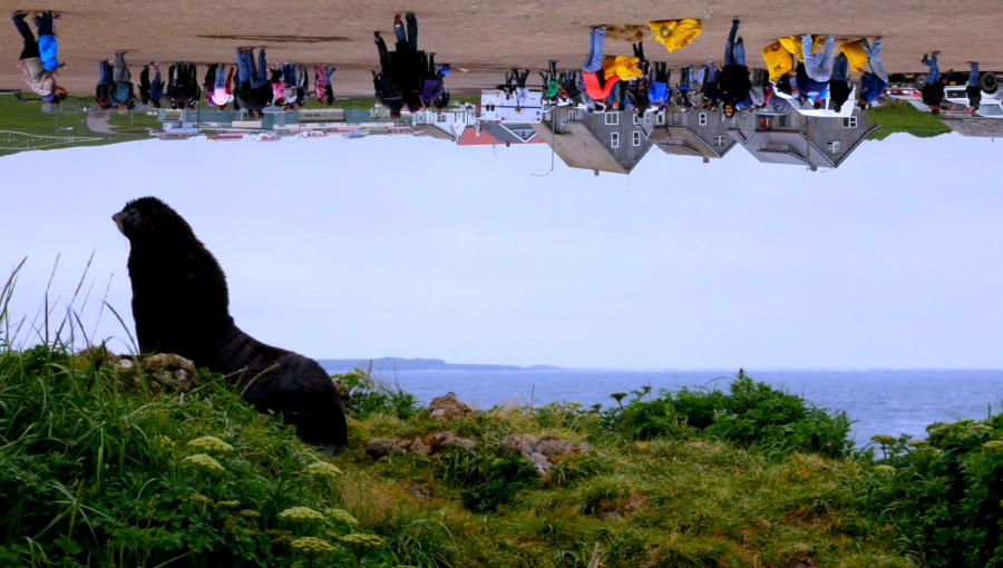 Artwork of animal on land looking out on water. Sky is created from upside down image of people and houses.