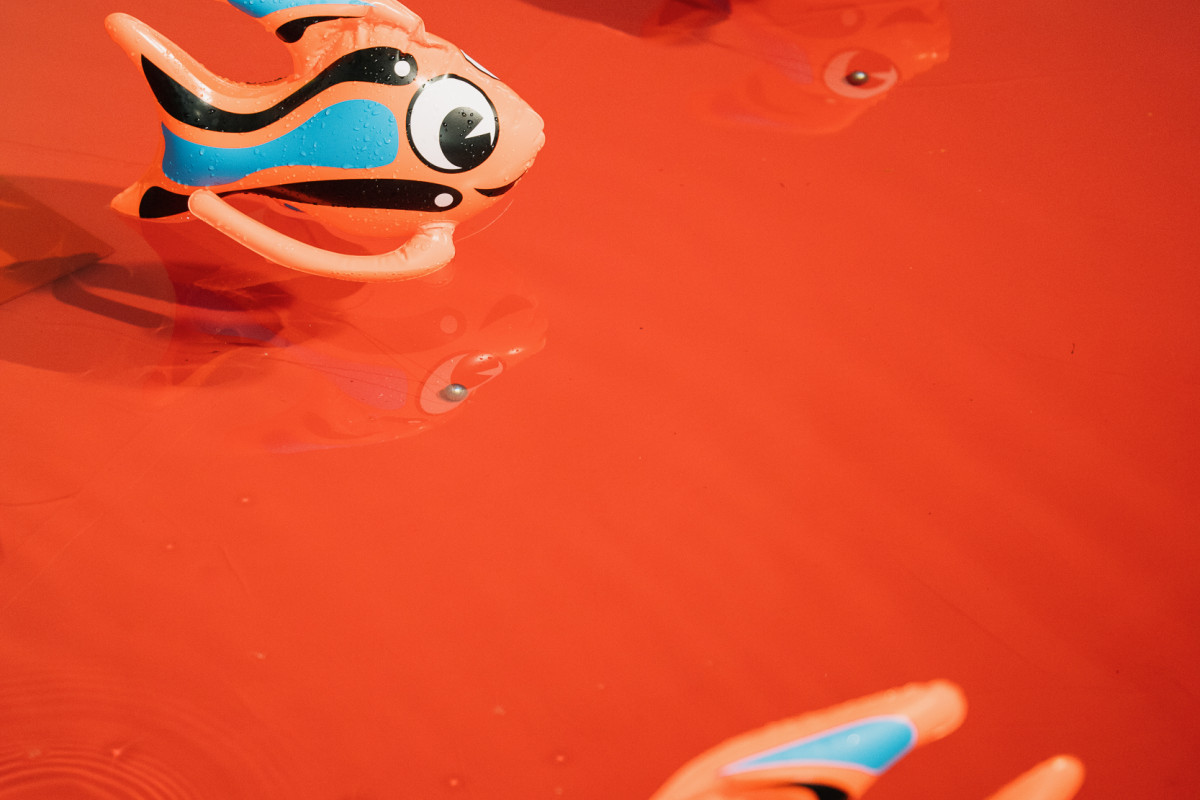 Close up of Truc's pool - 4 toy inflatable fish Koi.