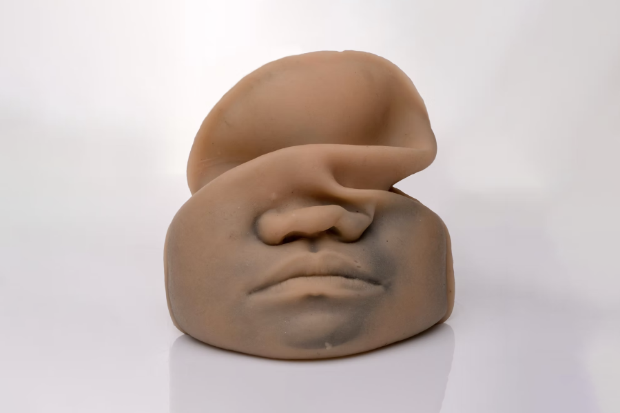 A soft, flesh-toned sculptural object resembling a human face, distorted as if folded over itself. The features - nose, lips, and part of a cheek - are visible but warped, creating a surreal and abstract effect against a plain white background.