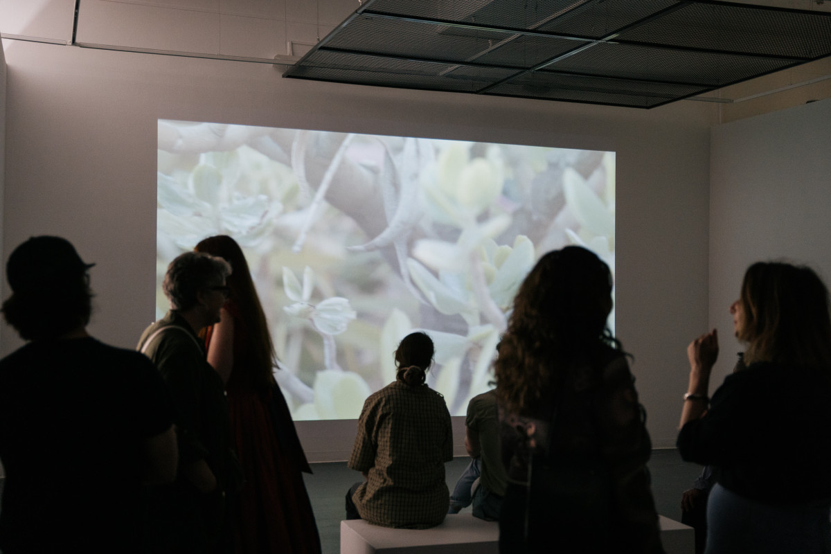Opening night. People sit and stand to gather around and watch Georgia Button's moving image artwork projection.