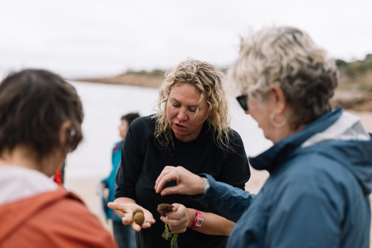 Three people inspect some seaweed like objects.