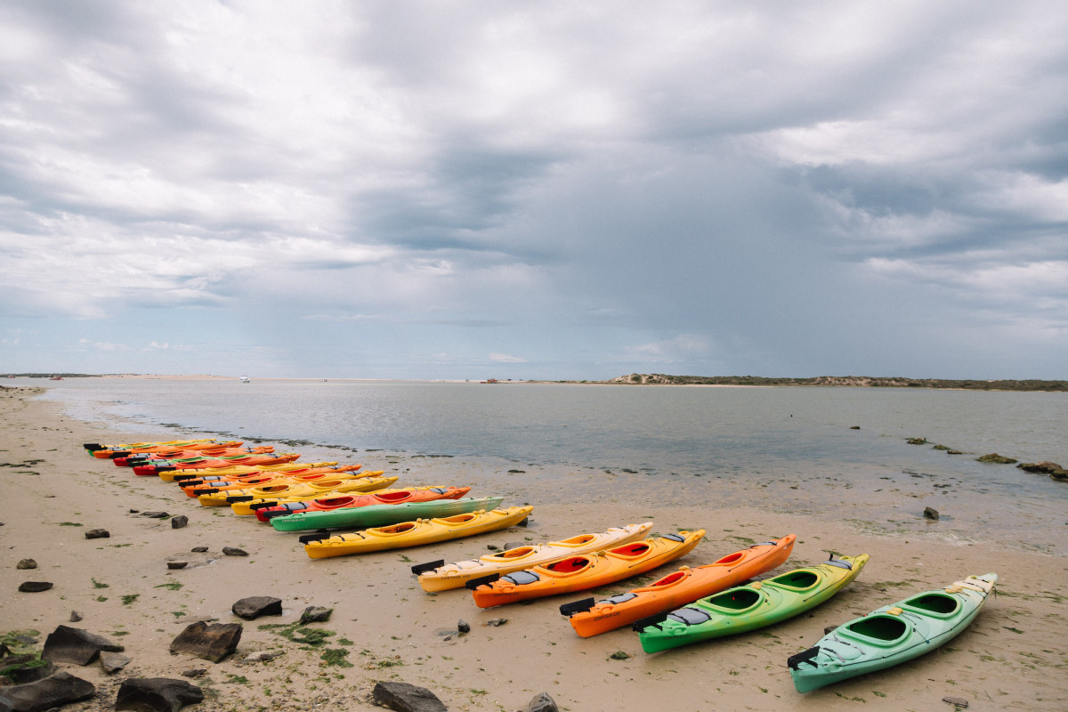Kayaks lined up neatly on beach.