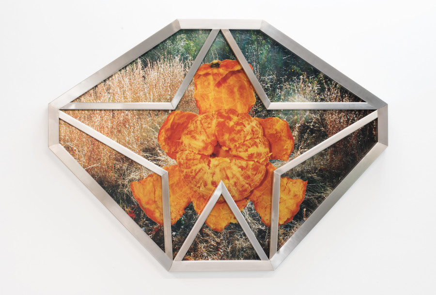 A round-shaped octagonal artwork featuring a mandarine and a chrome frame that incorporates a star.